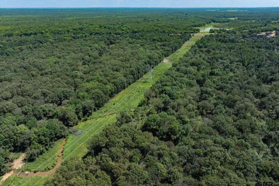 Tract A Hwy 69, Mineola, TX 75773 - #3
