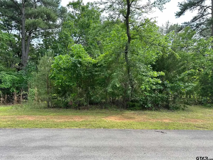 16837 Pine Hollow, Flint, TX 75762 - Image #2