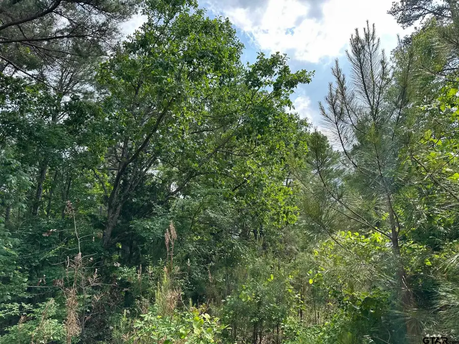 16837 Pine Hollow, Flint, TX 75762 - Image #3