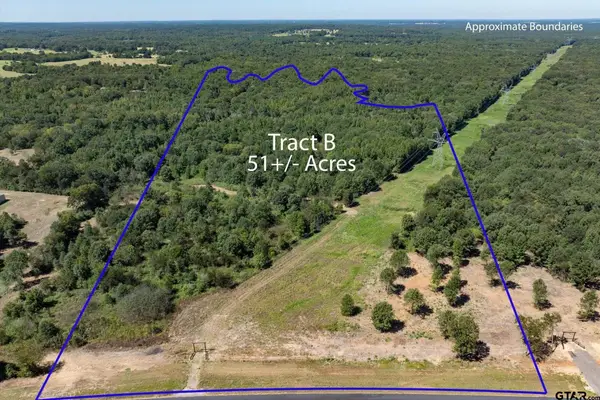 Tract B Hwy 69, Mineola,  75773