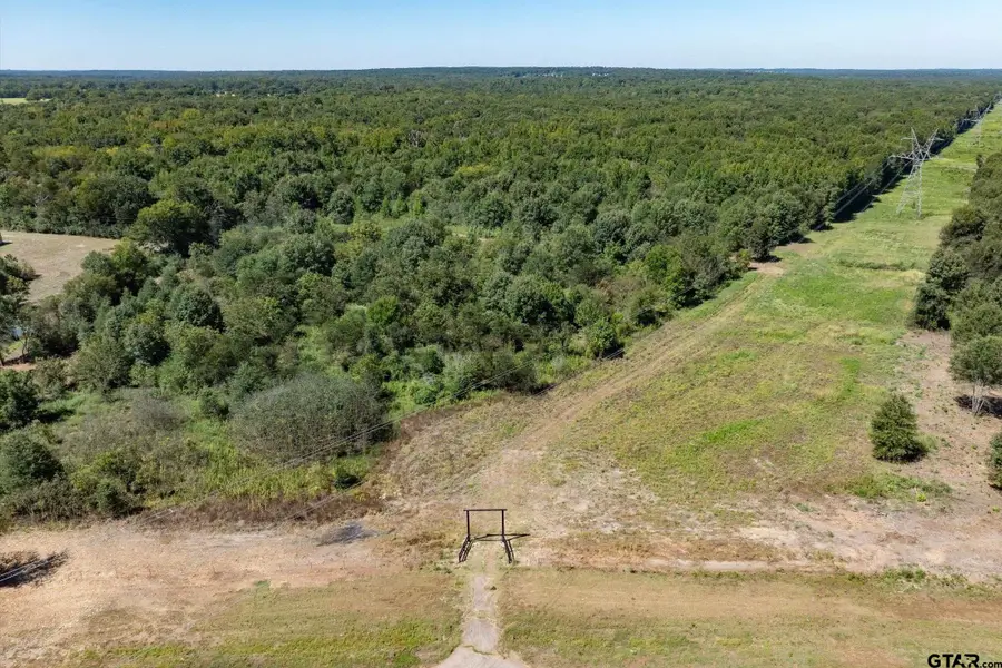 Tract B Hwy 69, Mineola, TX 75773 - #2