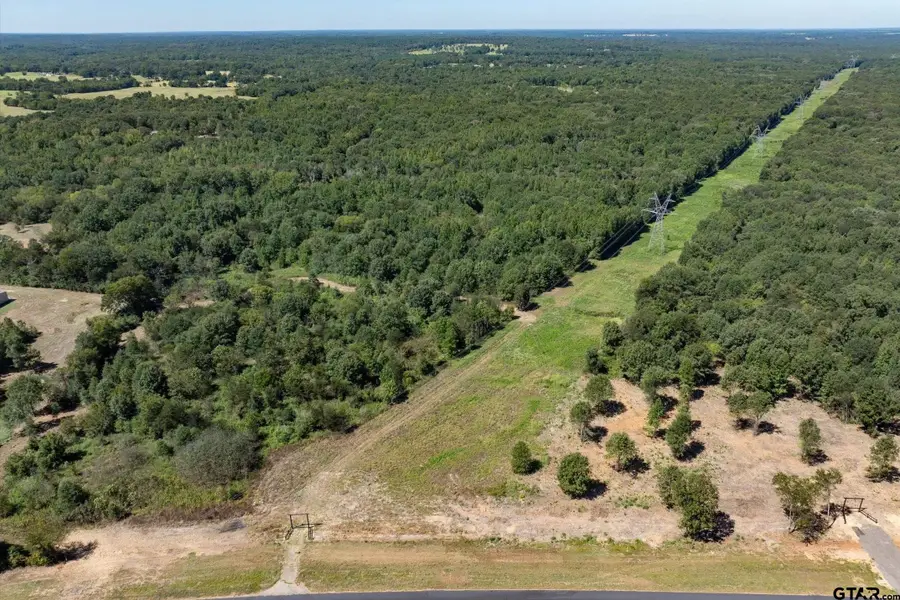 Tract B Hwy 69, Mineola, TX 75773 - #3
