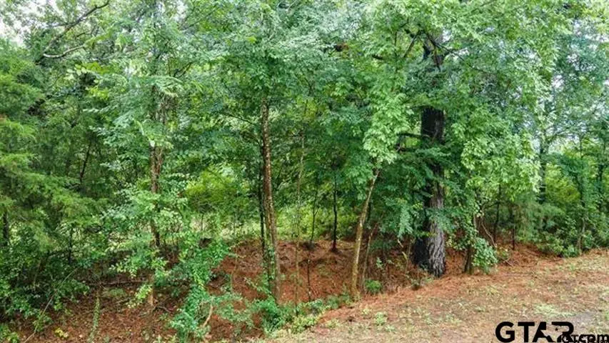 Lot 43 A CR 3009, Frankston, TX 75763 - Image #2