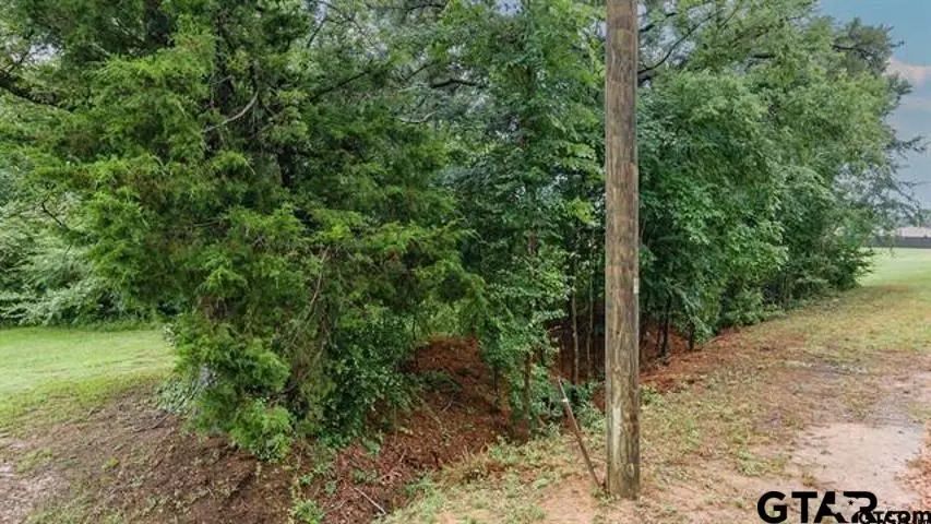 Lot 43 A CR 3009, Frankston, TX 75763 - Image #3