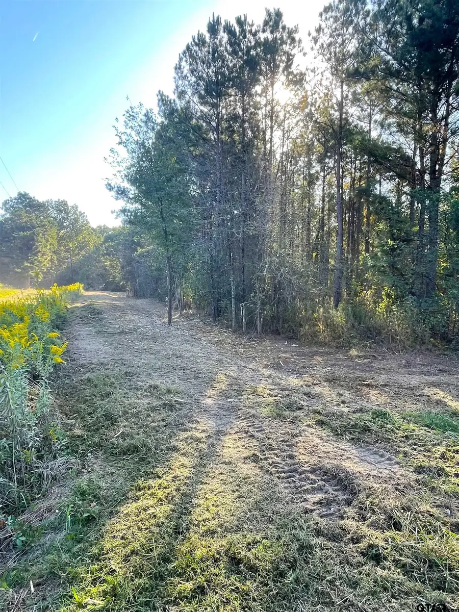 TBD Shawnee Creek Private easement, Avery, TX 75554 - Image #2