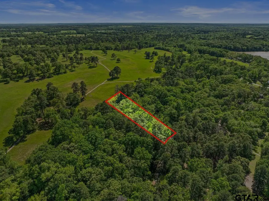 Lot 18 Country Club Road, Scroggins, TX 75480 - Image #3