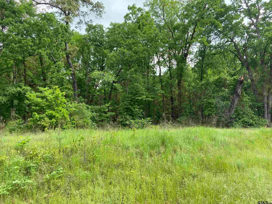 23388 FM 1995, Lindale, TX 75771 - #2