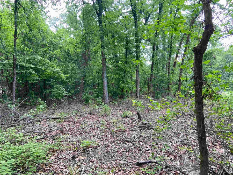 23388 FM 1995, Lindale, TX 75771 - #3