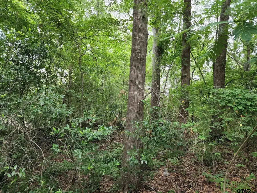 0000 Flourney, Quitman, TX 75783 - Image #2