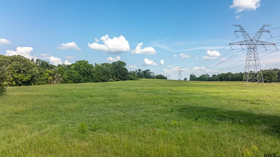 14546 CR 247, Arp, TX 75750 - Image #2