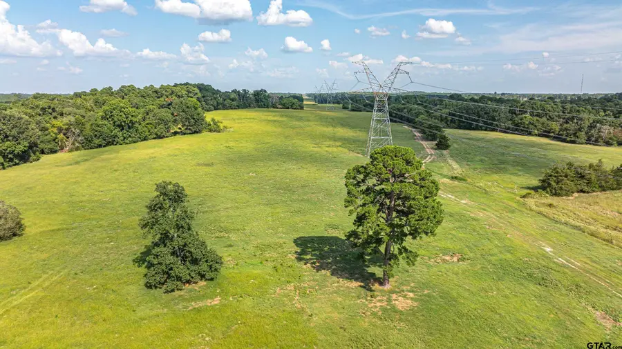 14546 CR 247, Arp, TX 75750 - Image #3