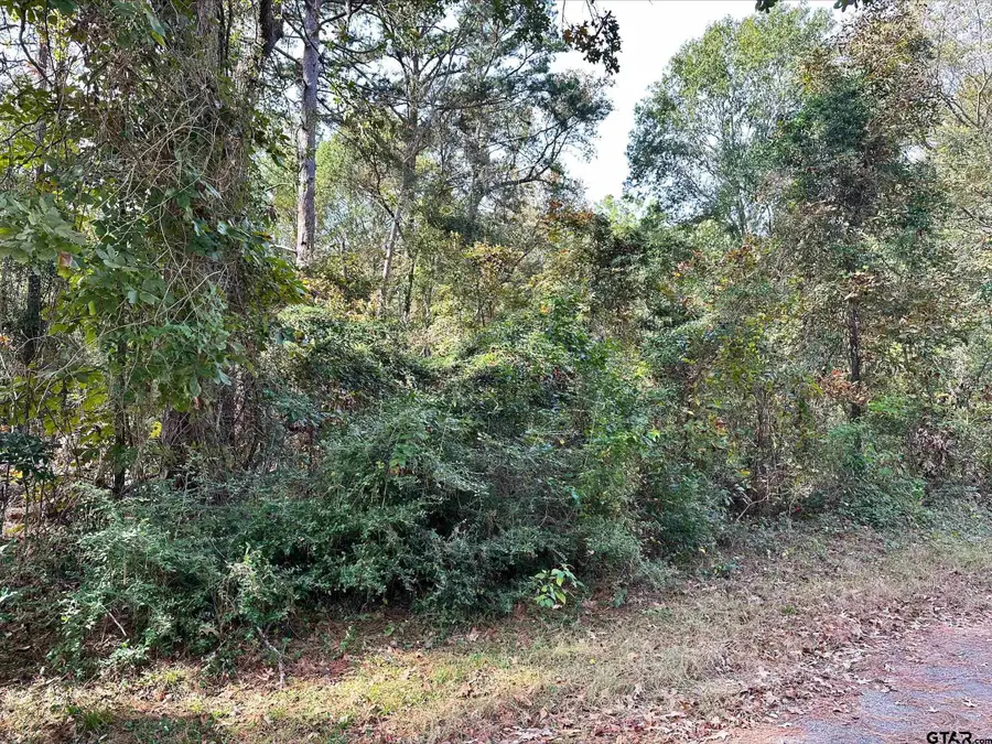 212 Charlya Dr., Bullard, TX 75757 - Image #3