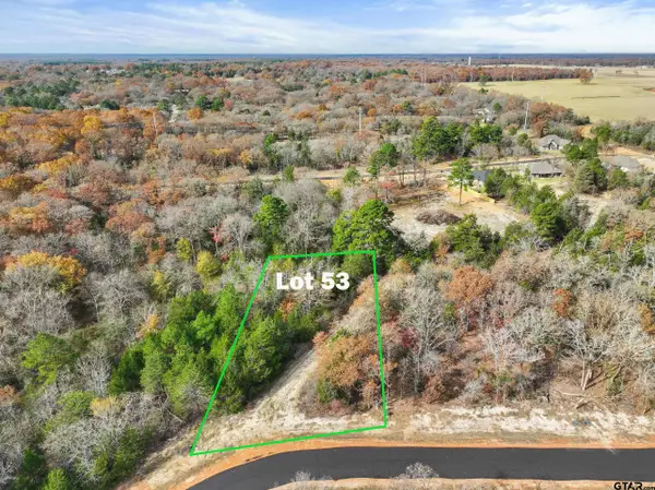 TBD PR 6305 LOT 53, Mineola, TX 75773