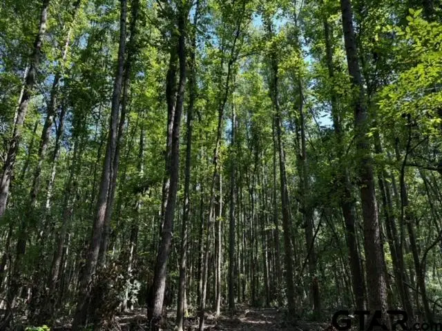 TRACT C  337 PRIVATE ROAD 8507, Van, TX 75790 - Image #2