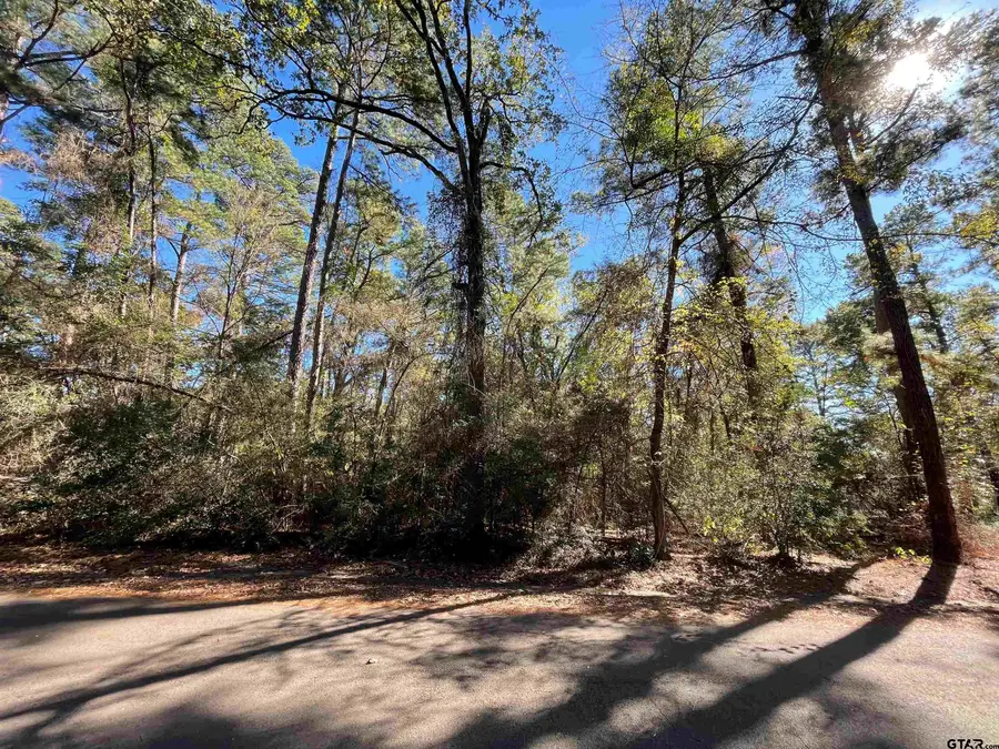 TBD Autumn Wood Trail, Holly Lake Ranch, TX 75765 - Image #3