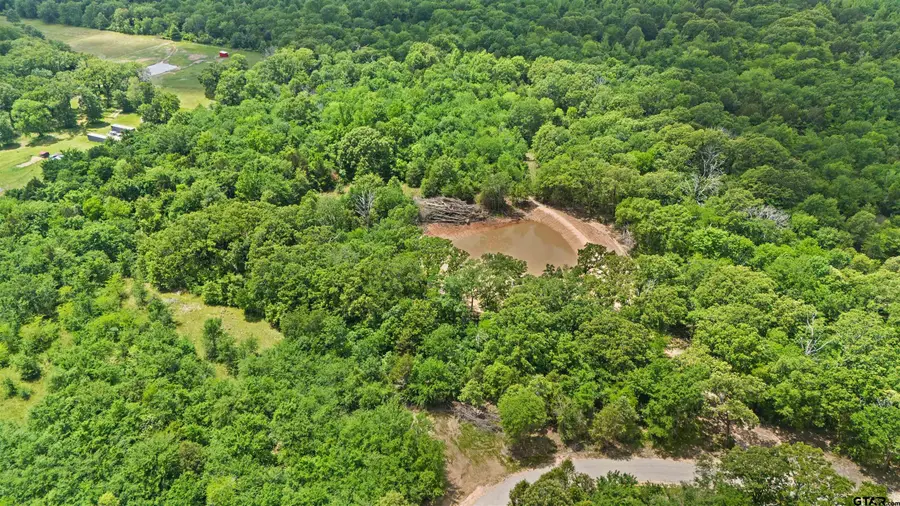 TRACT  D  397 PRIVATE ROAD 8507, Van, TX 75790 - Image #2