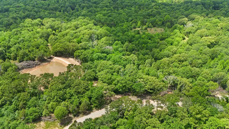 TRACT  D  397 PRIVATE ROAD 8507, Van, TX 75790 - Image #3