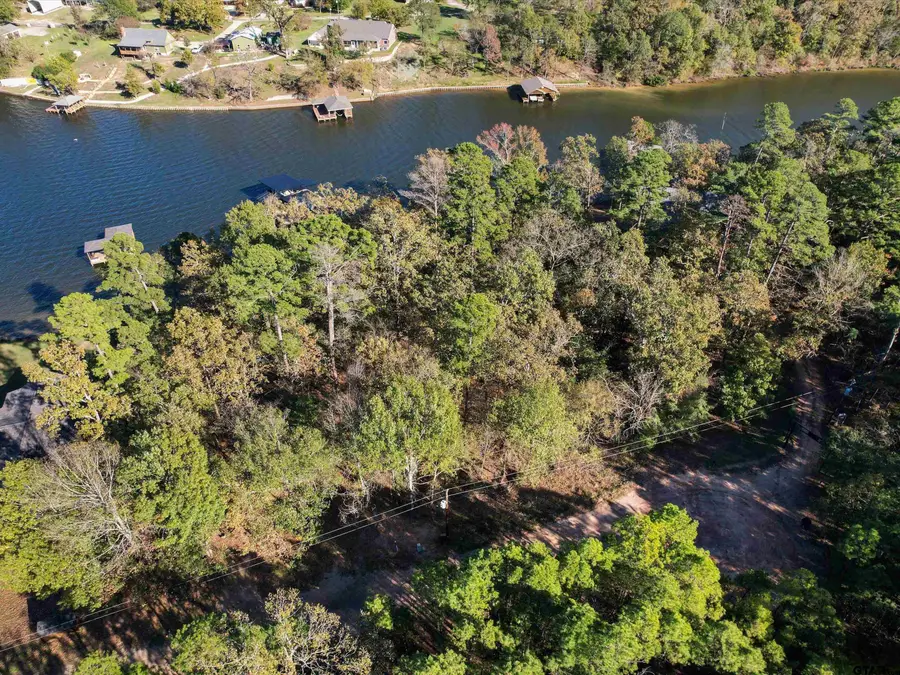 TBD CR 2338, Pittsburg, TX 75686 - Image #3