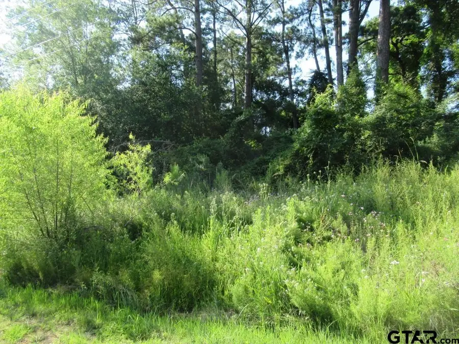 22448 Shady Trail, Flint, TX 75762 - Image #3