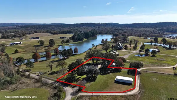 11786 County Road 4401, LaRue, TX 75770