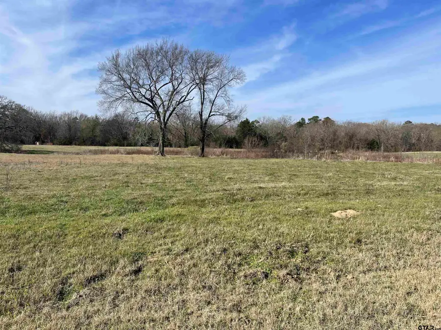 TBD Cr 2320, Pittsburg, TX 75686 - #2