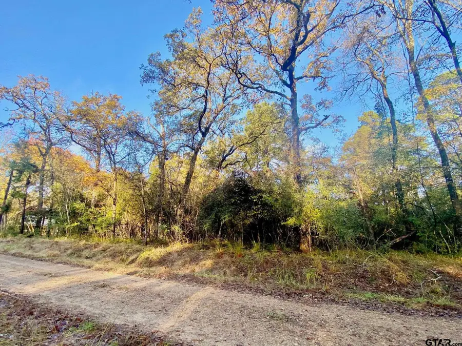 TBD Lakeview Circle, Crockett, TX 75835 - Image #3