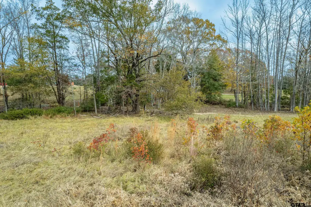 21540 Riva Ridge Dr, Tyler, TX 75704 - #1
