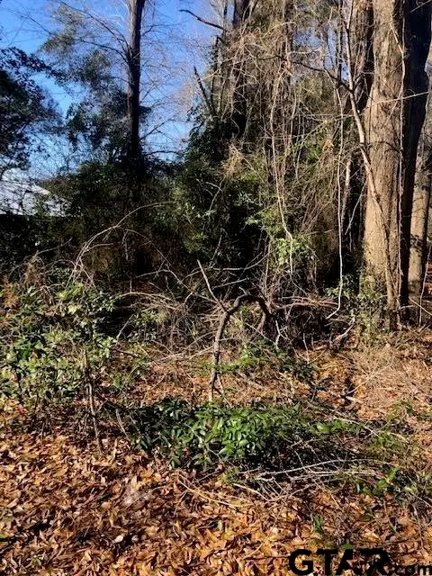 Lot 2 TBD Lewis St, Henderson, TX 75652