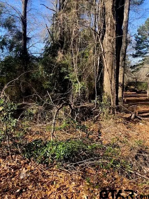 Lot 2 TBD Lewis St, Henderson, TX 75652 - Image #3