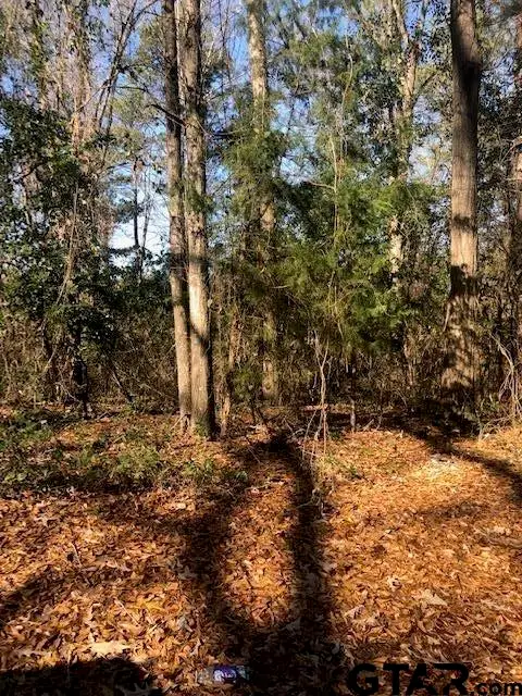 Lot 5 TBD Lewis St, Henderson, TX 75652