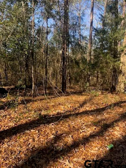 Lot 5 TBD Lewis St, Henderson, TX 75652 - Image #3