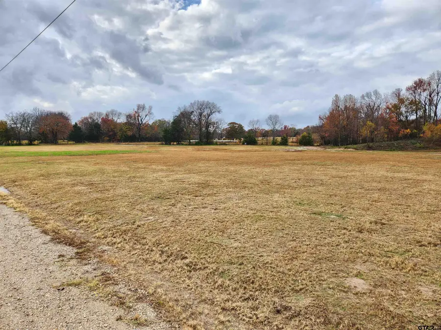 LOT 23 CR 2230, Mineola, TX 75773 - Image #3