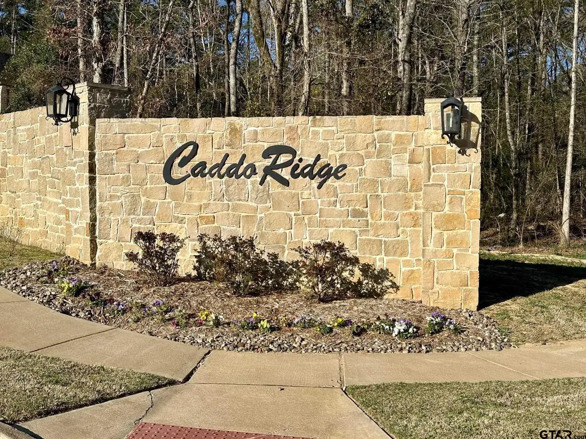 9291 Caddo Ridge Cove, Tyler, TX 75701 - #1