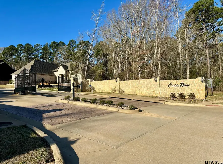 9291 Caddo Ridge Cove, Tyler, TX 75701 - #2