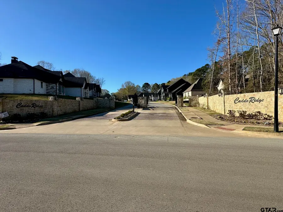 9291 Caddo Ridge Cove, Tyler, TX 75701 - #3