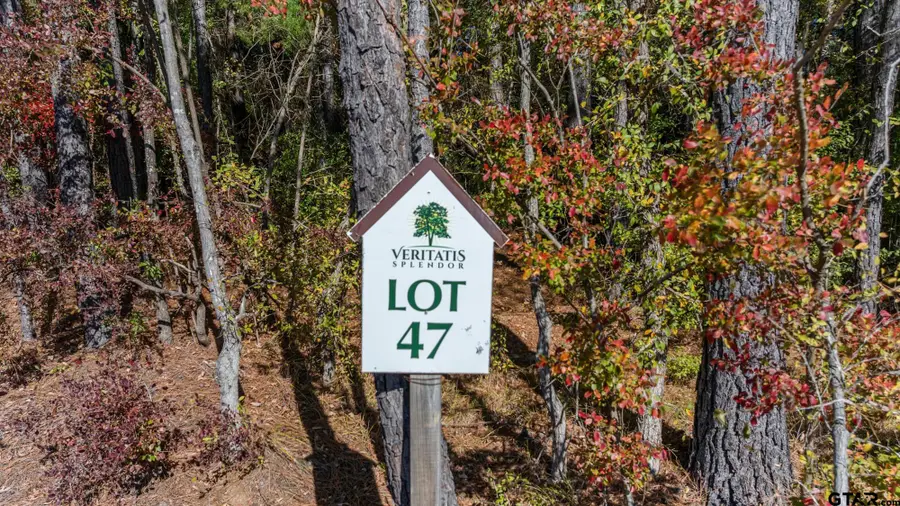 17272 Stella Maris Street, Winona, TX 75792 - Image #3