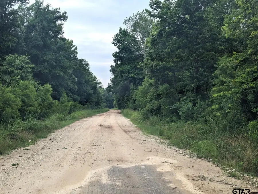 TBD County Road 4706, Troup, TX 75789 - Image #2