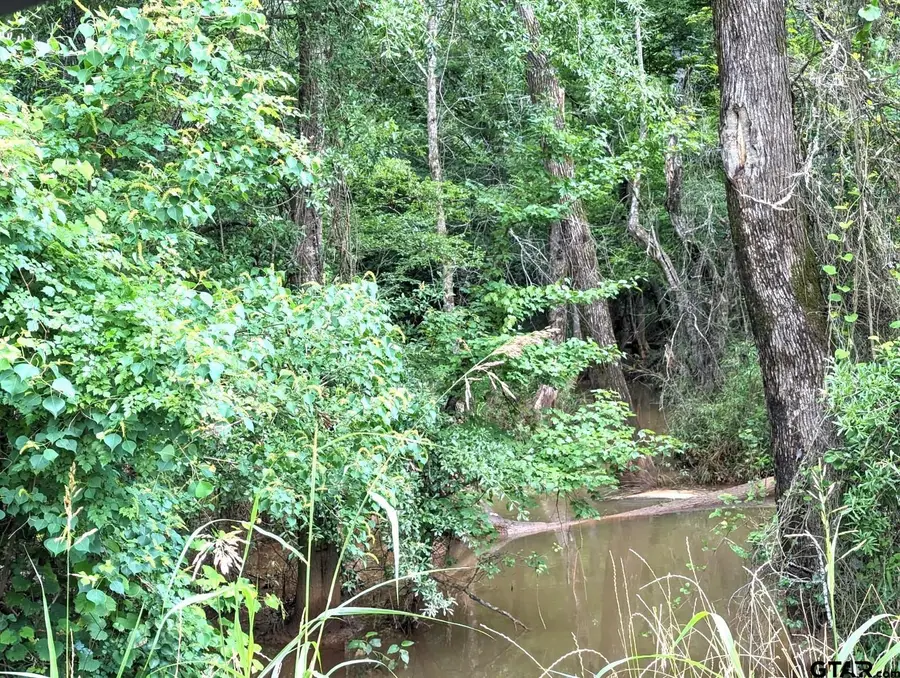 TBD County Road 4706, Troup, TX 75789 - Image #3