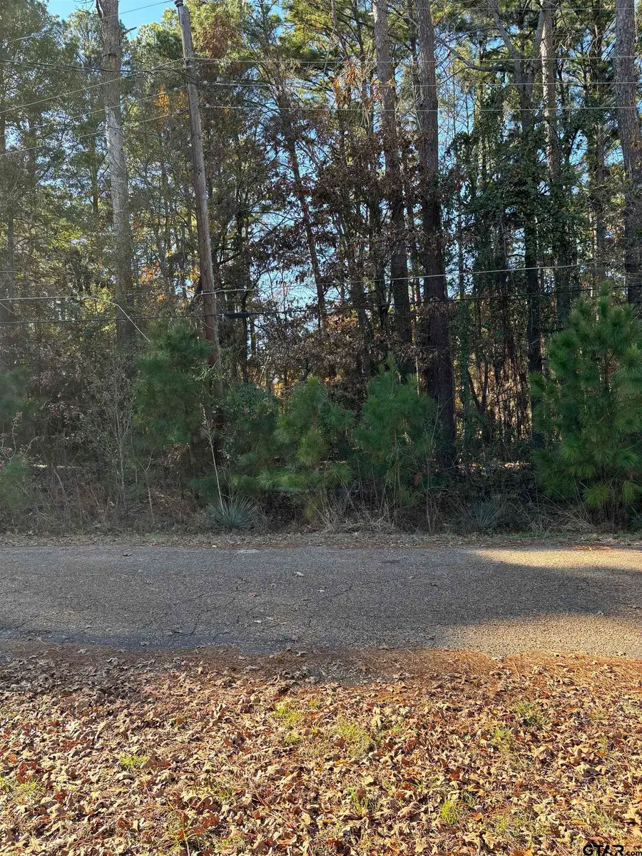 Lot 25 Briar Grove Rd, Murchison, TX 75778 - Image #3