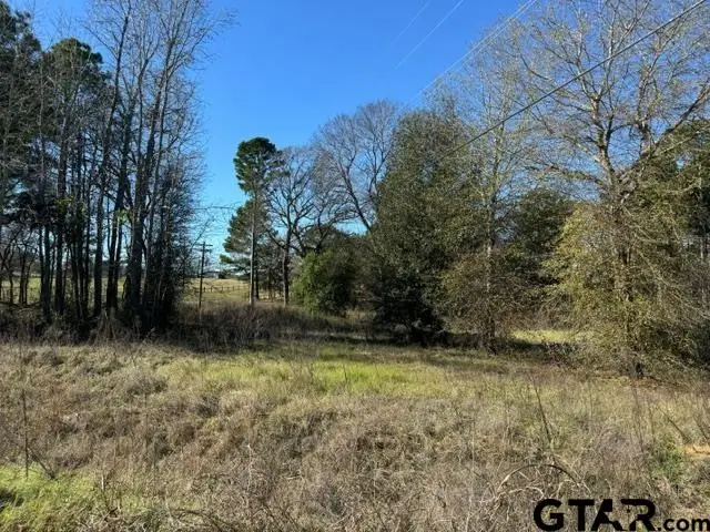 Lot 1 Berrycreek Circle, Frankston, TX 75763 - #1