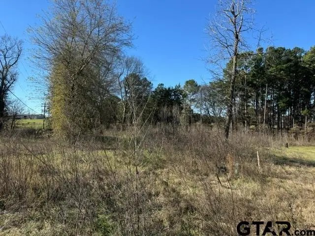 Lot 1 Berrycreek Circle, Frankston, TX 75763 - #3