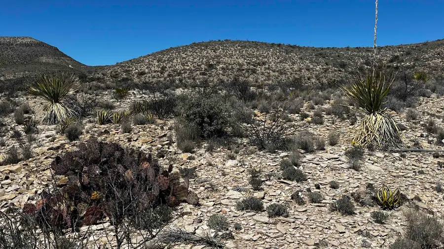10 Trachyte PID 21196, Terlingua, TX 79852 - Image #2