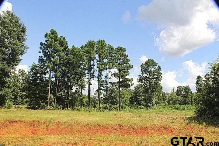 900 Stone Chimney Rd. (Lot 20 CR 3608), Bullard, TX 75757 - Image #1