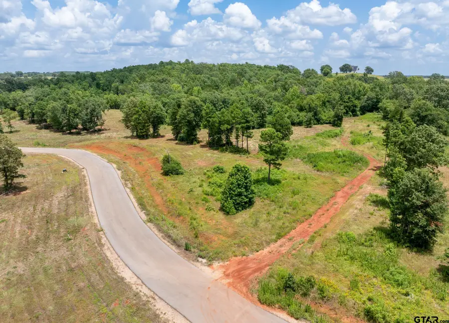 900 Stone Chimney Rd. (Lot 20 CR 3608), Bullard, TX 75757 - Image #3