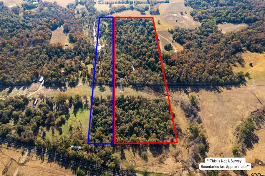 TBD FM 900, Mount Vernon, TX 75457 - Image #3