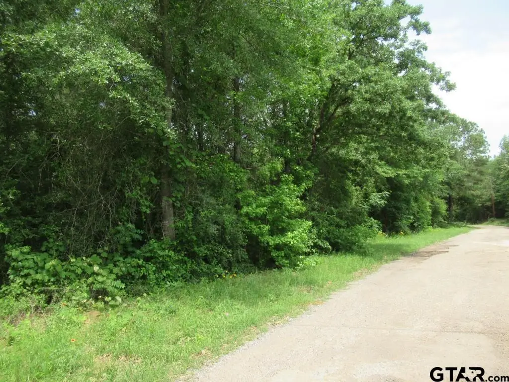 3.54 AC CR 352, Palestine, TX 75803 - Image #1