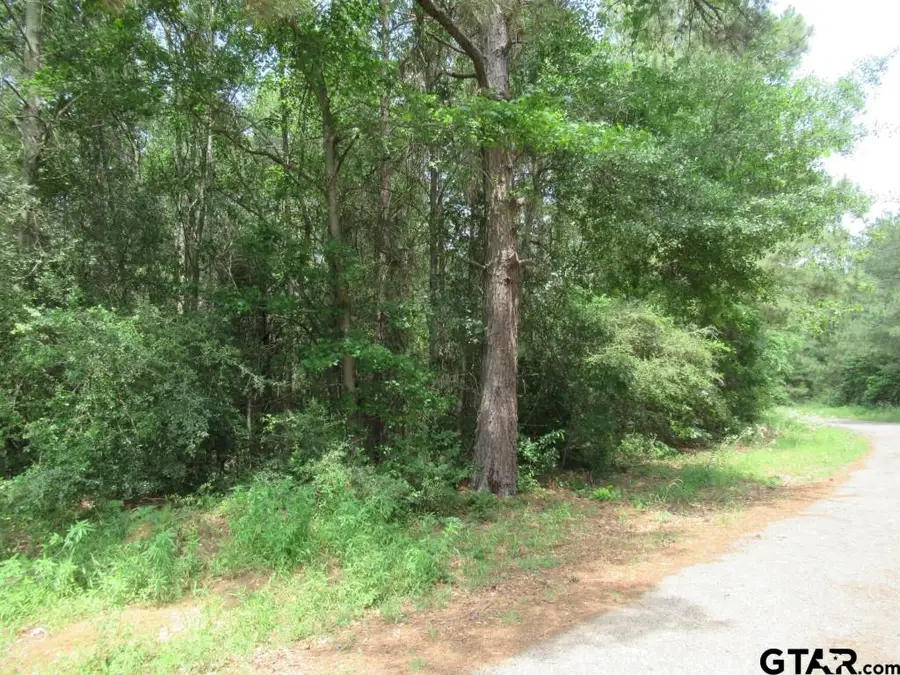 3.54 AC CR 352, Palestine, TX 75803 - Image #2