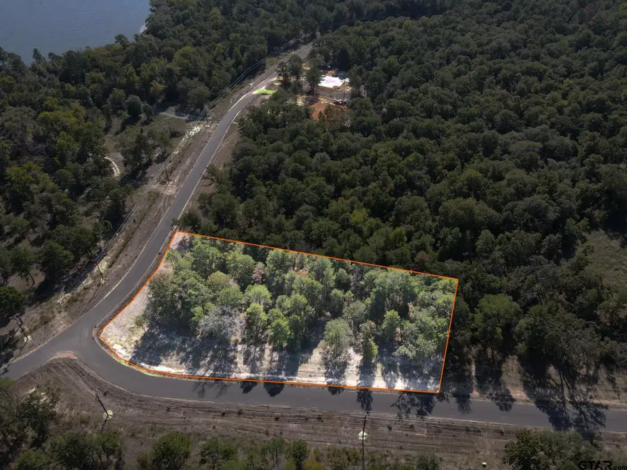 3129 Shadow Pine Dr, Larue, TX 75770 - Image #2