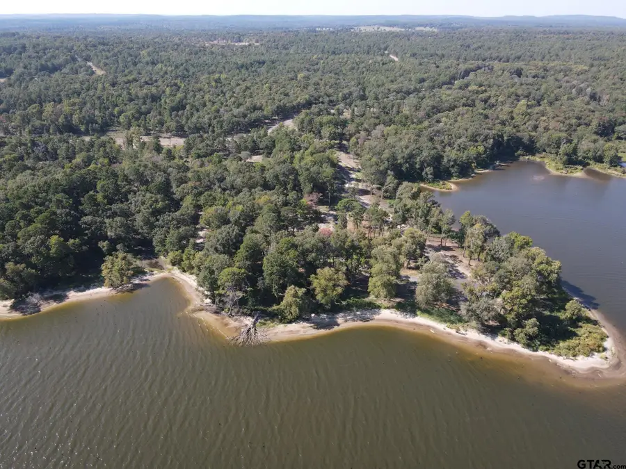 3129 Shadow Pine Dr, Larue, TX 75770 - Image #3