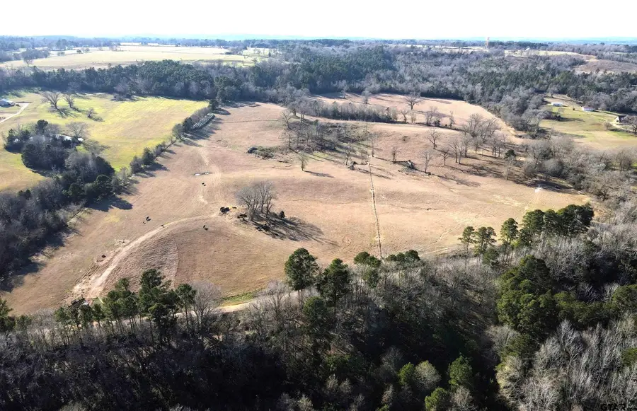 1155 CR 1615, Jacksonville, TX 75766 - Image #3